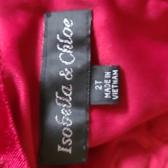 Girls Size 2T Isobella & Chloe dress - Picture 6 of 6